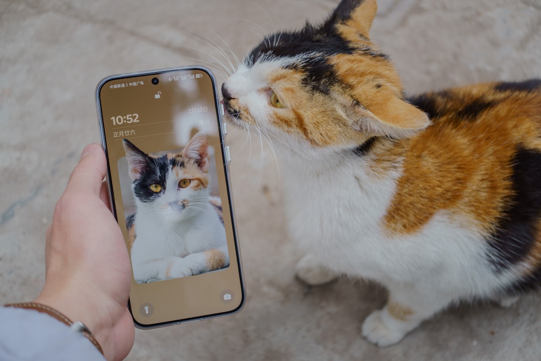 Pet Translator App Explained: Fun Tool and Pet Communication